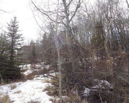 TBD Copper Road, Anaconda