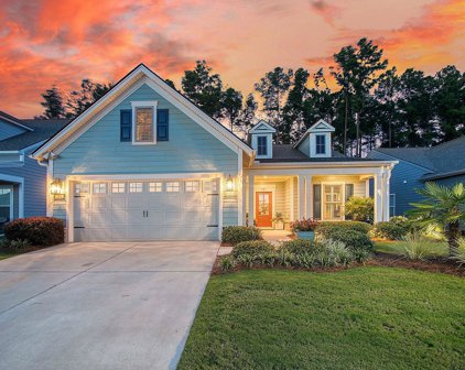 151 Hedera Court, Summerville