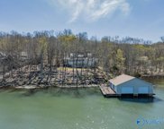 364 Bent Tree Trail, Guntersville image