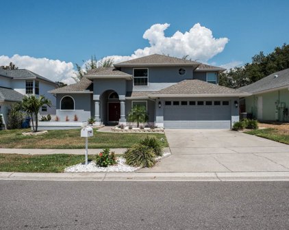 1667 Palomino Drive, Tarpon Springs