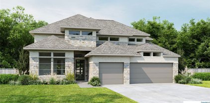 1127 Rusty Blackhaw Trail, San Marcos