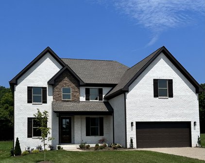1015 Gadwall Ln, Spring Hill