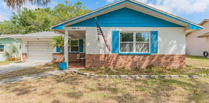 85 Irwin Street W, Safety Harbor