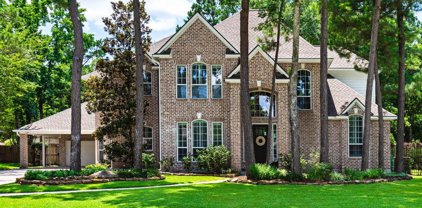 168 Golden Shadow Circle, The Woodlands