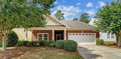 2416 Bergamot  Street, Tega Cay