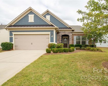 260 Grovefield  Drive, Fort Mill