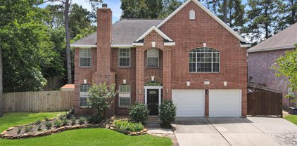 13503 Spring Court, Tomball