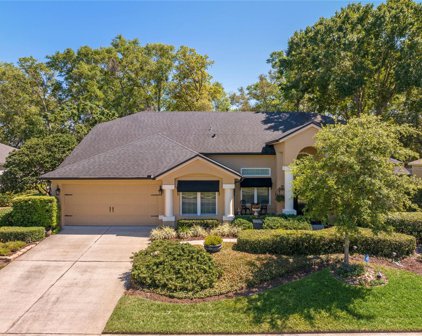 5333 Cypress Reserve Place, Winter Park