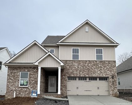 239 Shayton Pass, Gallatin