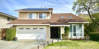 1123 Farragut BLVD, Foster City