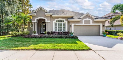 9825 Gretna Green Drive, Tampa