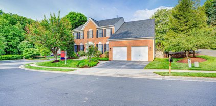 18506 Fiddleleaf Ter, Olney