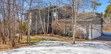 1420 Blueberry Hills Road, Monument