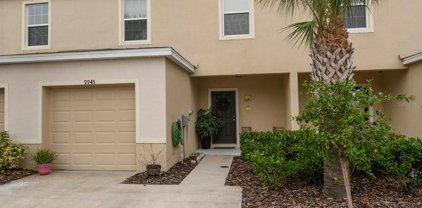 9945 Hound Chase Drive, Gibsonton