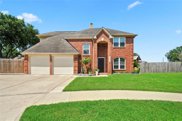 2903 Piccadilly Circus Street, Pearland image