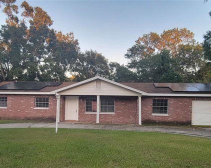 504 Winham Street, Tampa