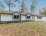 31236 Quinn Road, Tomball image