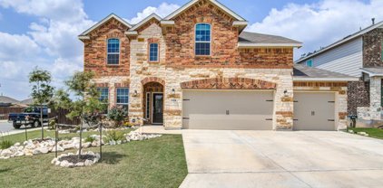 5458 Black Walnut, Bulverde