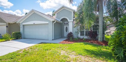 10512 Peppergrass Court, Trinity