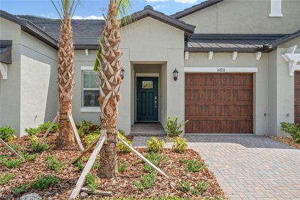 16822 Forge Surf Street, Land O' Lakes