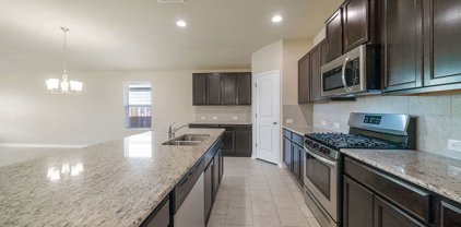 13450 Drop Seed, San Antonio