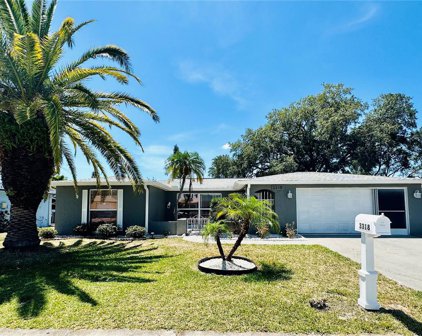 3318 Supreme Drive, Holiday