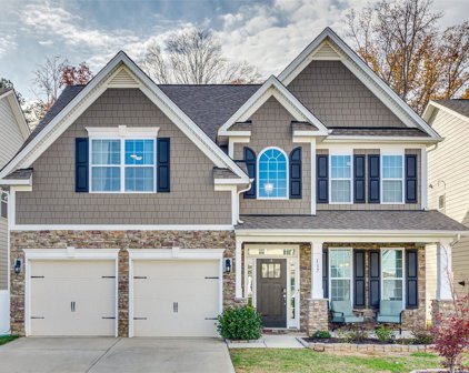 137 Eureka  Court, Lake Wylie