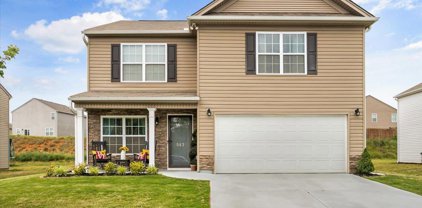 543 Falls Cottage, Boiling Springs