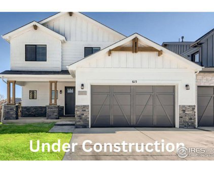 517 Red Jewel Dr, Windsor