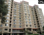 1600 Park Circle Unit 604, Columbia image