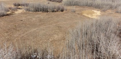 23246 TWP RD 521A, Rural Strathcona County