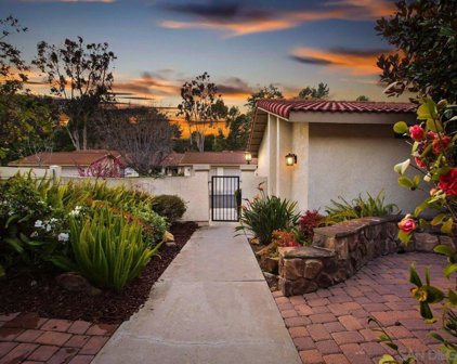 1986 Springdale Lane, Encinitas