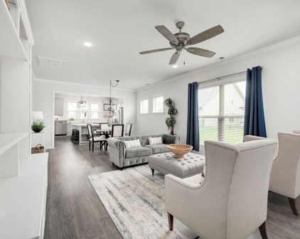 1402 Cannon Ln, Spring Hill