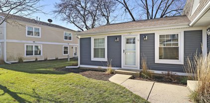 315 Somerset Lane Unit #315, Vernon Hills