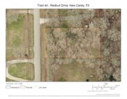 Redbud Drive, New Caney image
