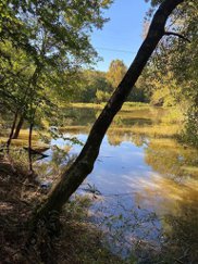 Krogland Road, Fortson image
