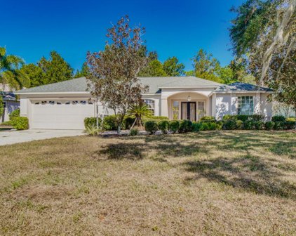11215 Pine Lilly Place, Lakewood Ranch