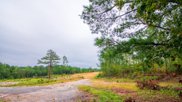 6890 Lickskillet Road, Hamilton image