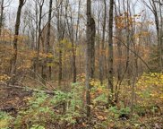 80 Acres (mol) NO NAME ROAD, Merrill image