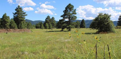 94 Convention, Pagosa Springs