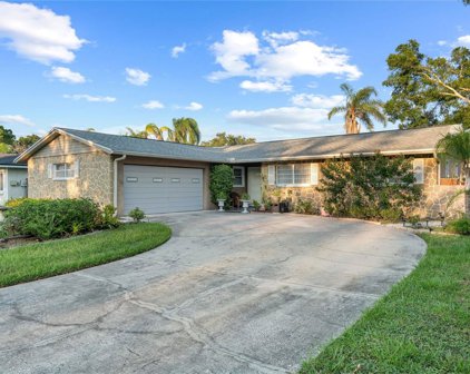 7507 Oakvista Circle, Tampa