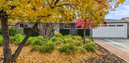 1147 Cuesta DR, Mountain View