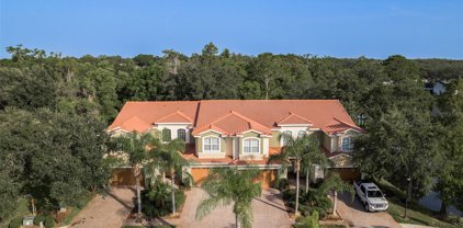 13972 Clubhouse Drive, Tampa