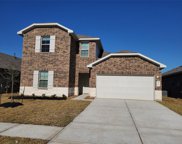 23406 Barberry Creek Trail, Spring image
