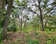 Saffron Avenue, Eustis image