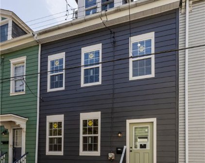 1103 Brabec St, Troy Hill