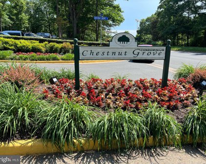 11220 Chestnut Grove Sq Unit #322, Reston
