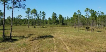 1135 Omega Ranch Road, New Smyrna Beach