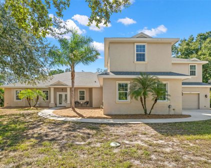556 Austin Drive, Tarpon Springs