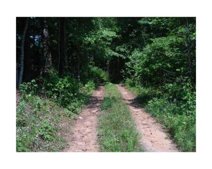 Hightower Road, Ball Ground